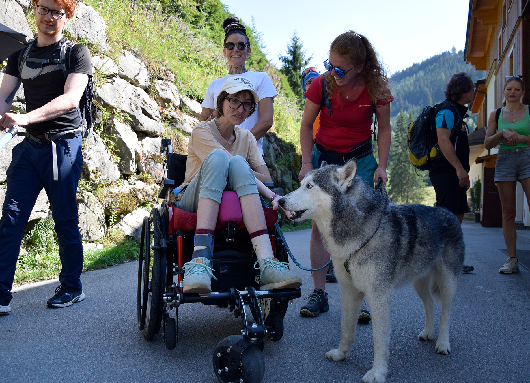 Therapiehund