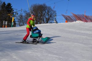 Sitz-Ski Training